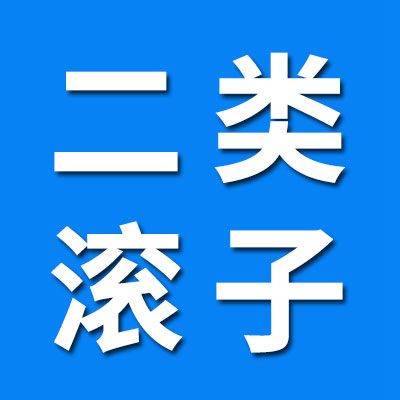 二類滾子、滾針、銷子