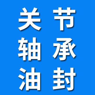 汪堤村關節軸承密封