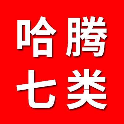 哈騰七類非標軸承 國標軸承