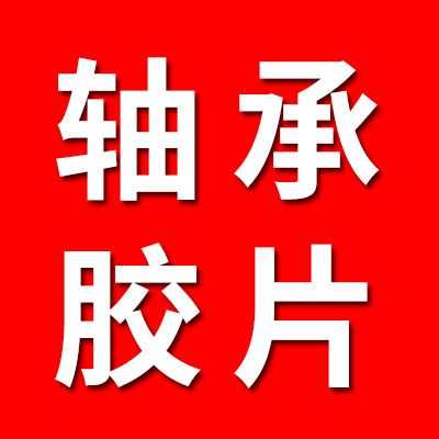 專業生產各種軸承膠片