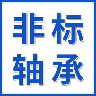 專業(yè)非標(biāo)帶槽軸承