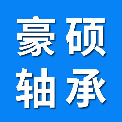豪碩深溝球、電機軸承