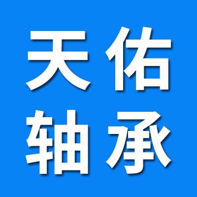 天佑高端零類電機軸承