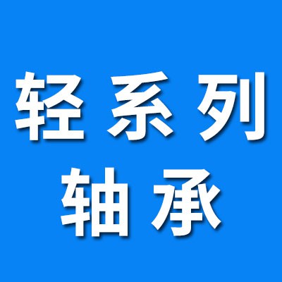 專業(yè)輕系列CC軸承