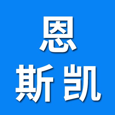 青島恩斯凱進口軸承